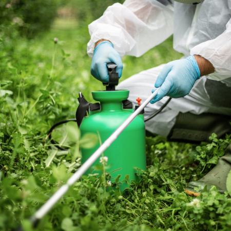 Close up of a person kneeling and spraying pesticides on over greenery.