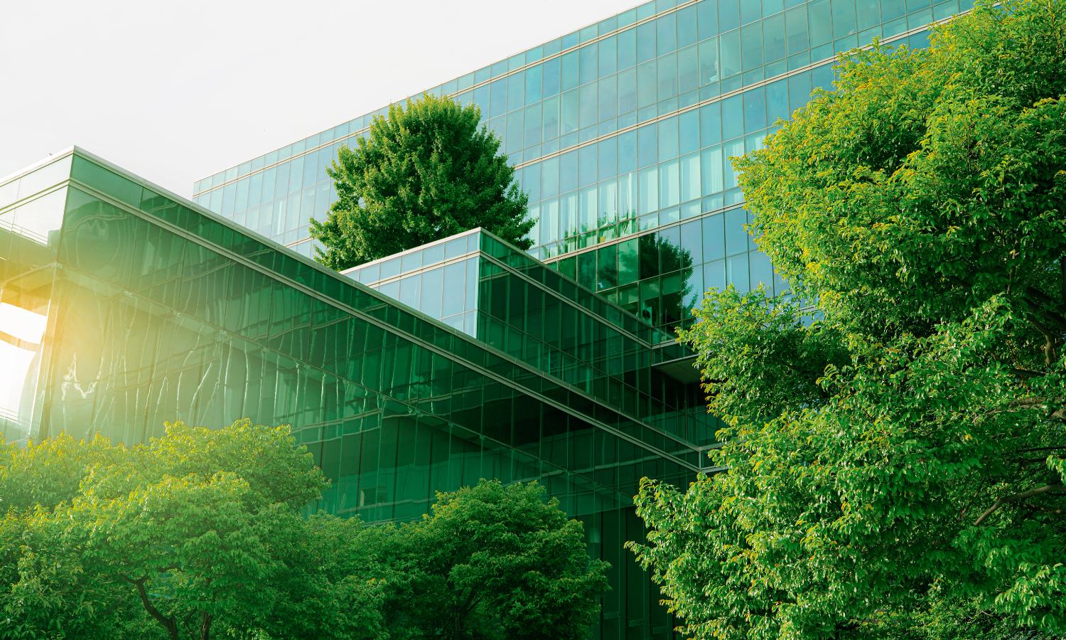 Exterior of a modern glass facade office building surrounded by trees. One tree appears to be growing from a rooftop garden.