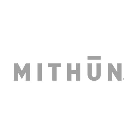 Meet our sustainability partner Mithun Architects