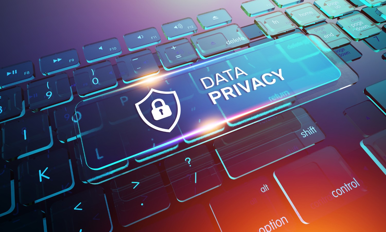 image: data privacy